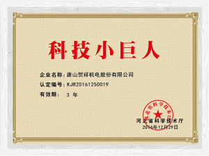 Hebei Province Science and Technology Little Giant Enterprise certificato 2016-12-29