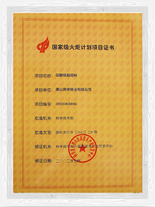 Certificato del programma Torch.